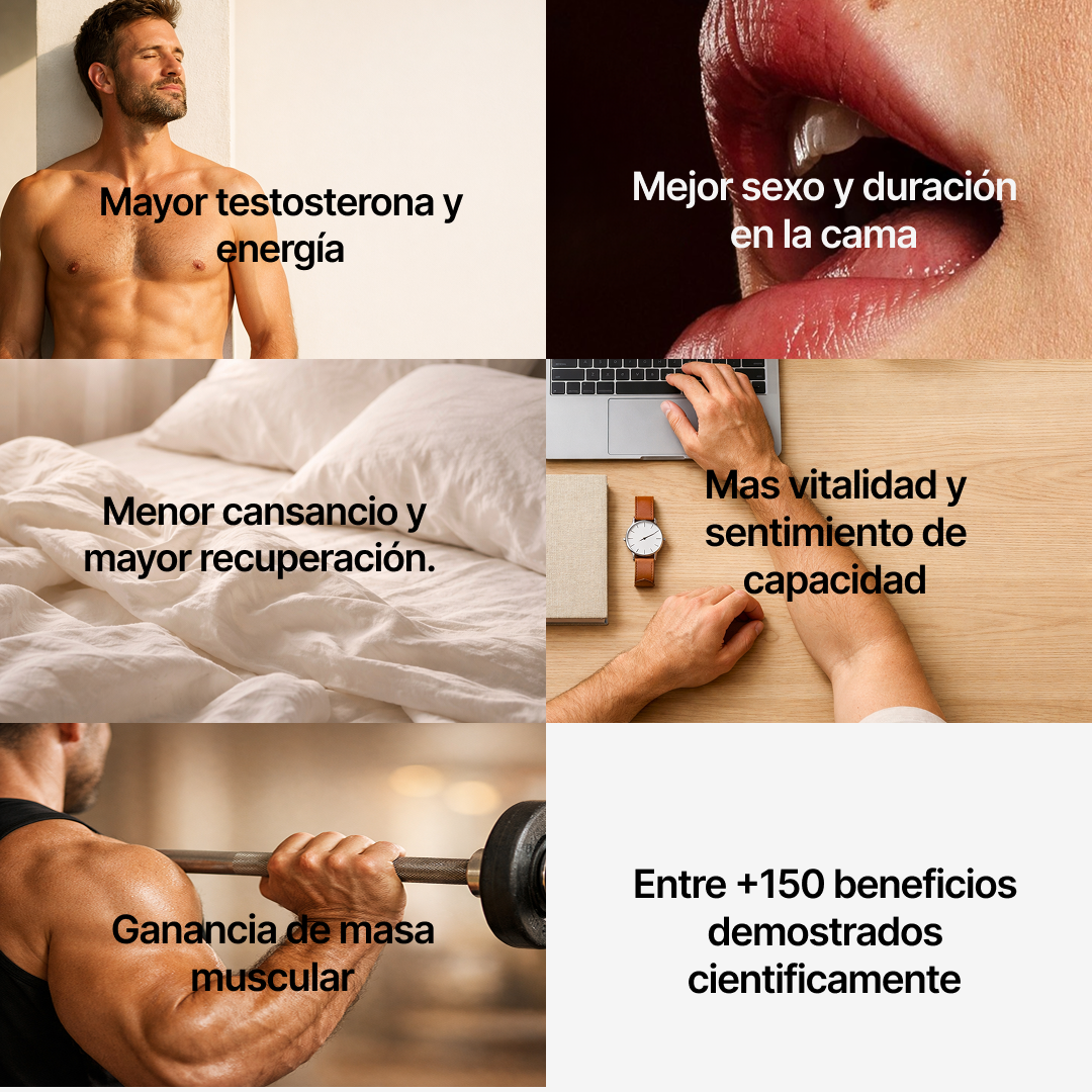 Suplemento de Gominolas de Shilajit Pura - Vita Life